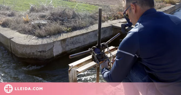 ⏯️ El Canal d'Urgell demanarà la Declaració de Zona Catastròfica i "si no plou, el reg es tancarà al maig"