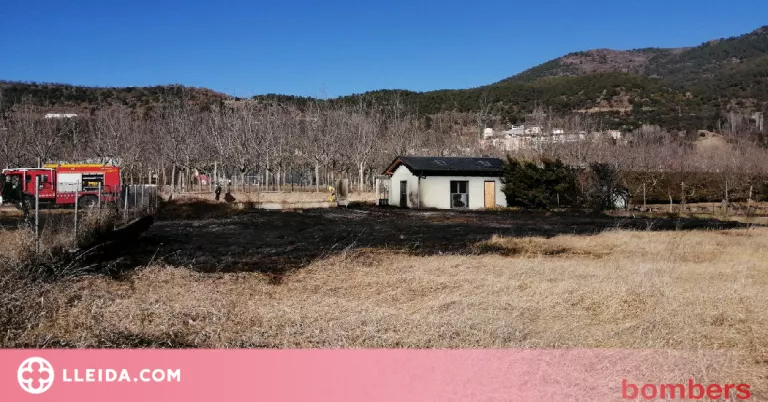 Un incendi crema uns 400 m2 prop del Parc del Segre de la Seu