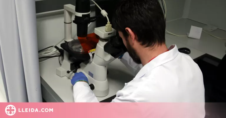 Sanitat xifra en 198 els casos de verola del mico a Espanya