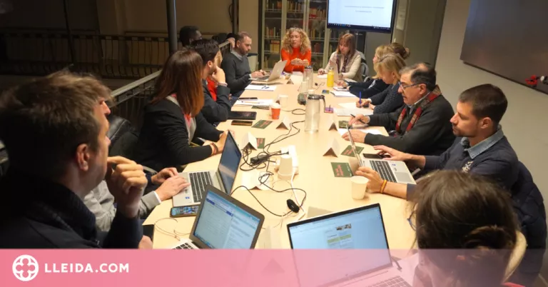 205.000 euros en subvencions a la digitalització empresarial i la promoció comercial de Lleida