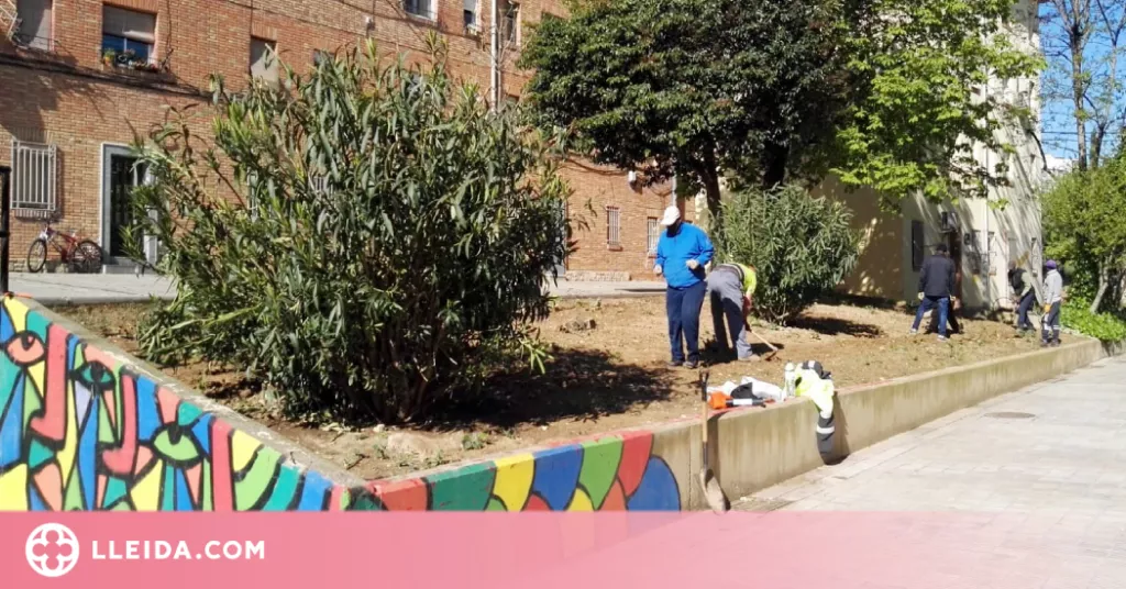 Nova edició de Jardins Socials per regenerar espais de la Mariola amb veïns del barri