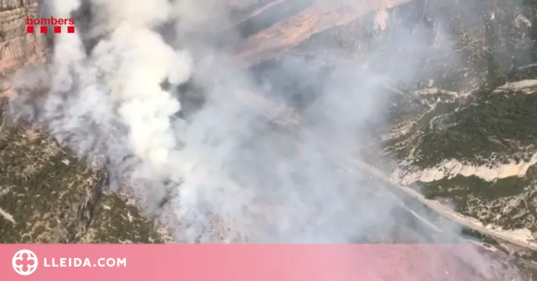 ⏯️ Es declara un foc a la Noguera en una zona de difícil accés per als Bombers