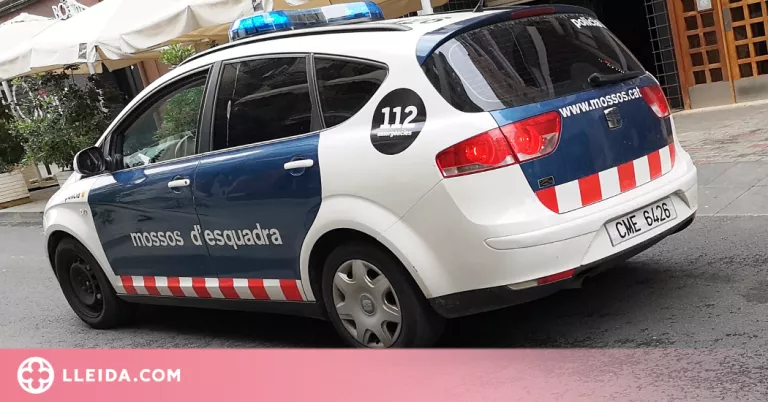 Detinguts dos joves per robar en un pis de Lleida
