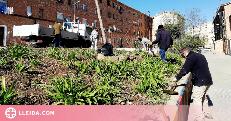 Nova edició de Jardins Socials per regenerar espais de la Mariola amb veïns del barri