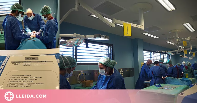 Dotze professionals mèdics es formen al CREBA en tècniques complexes de cirurgia toràcica