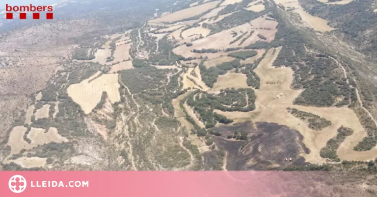 ⏯️ Un incendi crema prop de 6 hectàrees a Àger