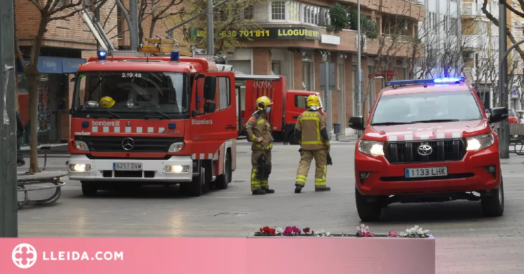 Els Bombers reben 5 avisos a Lleida per la caiguda d'arbres i branques pel fort vent