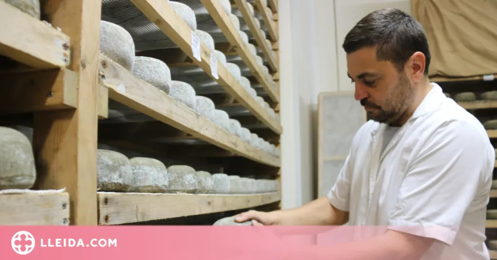 ⏯️ El món del formatge artesà a Catalunya "viu un moment dolç"