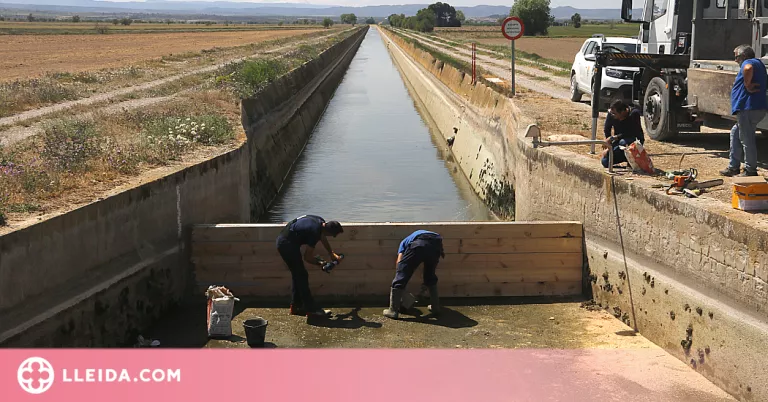 ⏯️ Tanques en diferents zones del canal d'Urgell per reservar l'aigua pels municipis