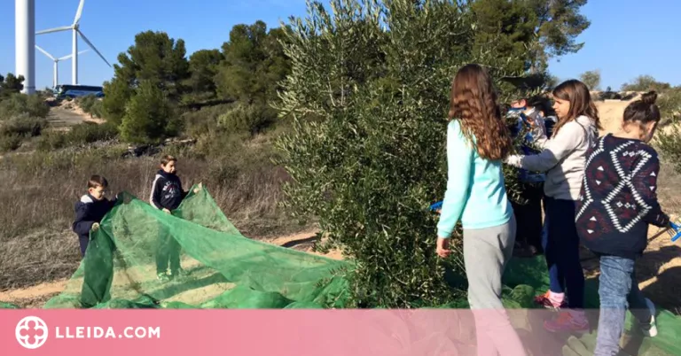 El Centre de l'Oli de la Granadella presenta un nou programa de tallers per al curs escolar 2022-23