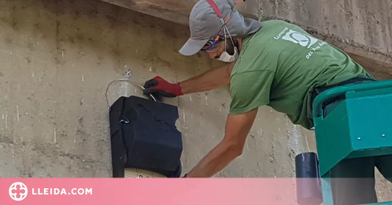 La Paeria instal·la caixes refugi per a ratpenats al parc del riu