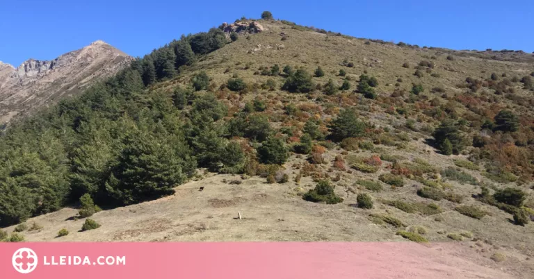 Munt de terra de l'Alta Ribagorça com a símbol d'unió cultural
