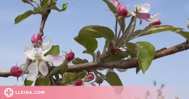 Barbens continua amb la celebració de la Primavera Cultural