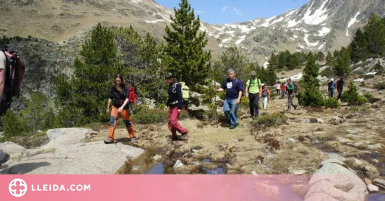 Les agències de viatge observen "clars símptomes de recuperació" de l'activitat