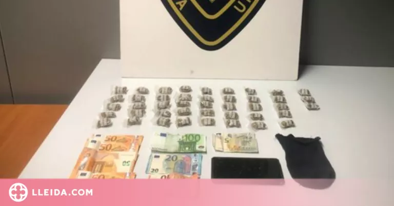 Detingut a Lleida amb més de quaranta embolcalls de marihuana