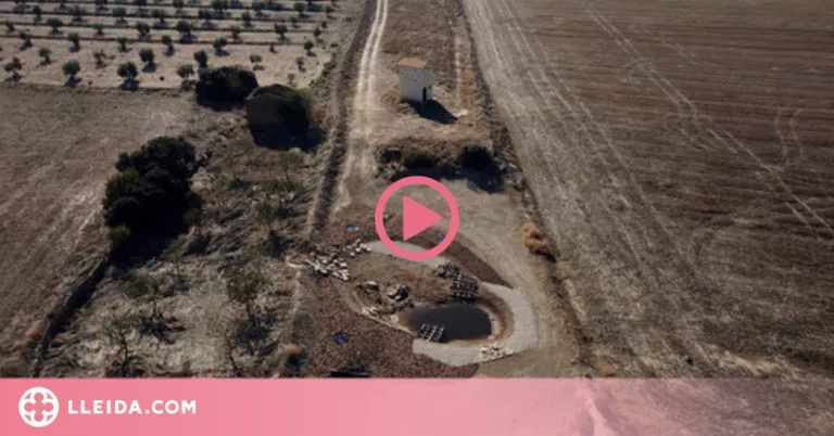 ⏯️ El Segarra-Garrigues aposta per consolidar el regadiu i mantenir la biodiversitat de l'entorn