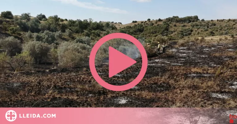 ⏯️ Vista aèria de l'incendi que crema 55 hectàrees de vegetació entre Catalunya i Aragó