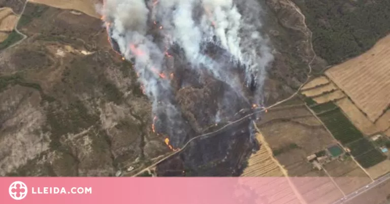 Bombers de la Generalitat donen per controlat l'incendi d'Alfarràs