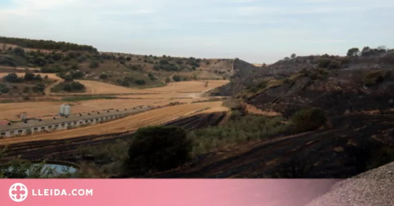 Els Bombers inspeccionen l'incendi d'Alfarràs per evitar la represa de punts calents
