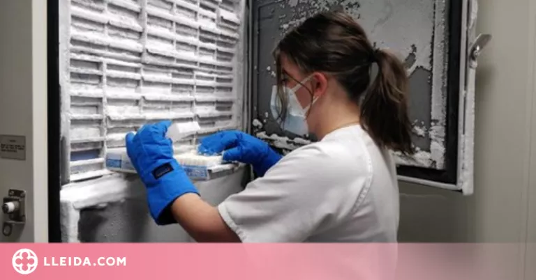 El Biobanc de l'IRBLleida recull més d'11.000 mostres Covid-19 durant els catorze mesos de la pandèmia