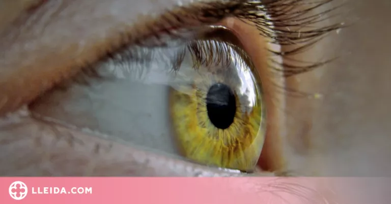 Com es tracta la conjuntivitis?