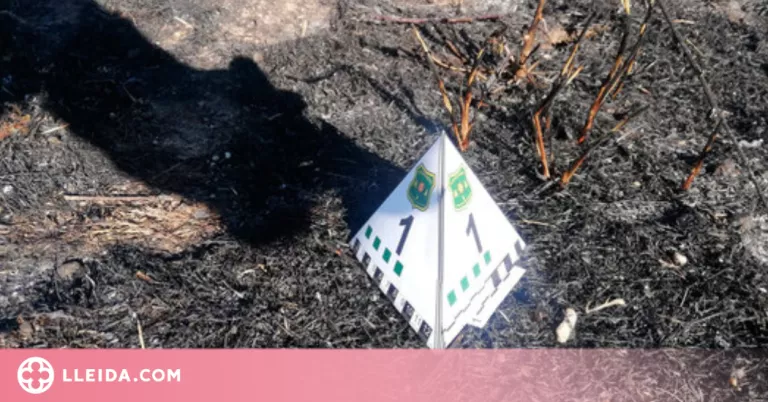 Una burilla de cigarreta és la causant de l'incendi d'Alfarràs