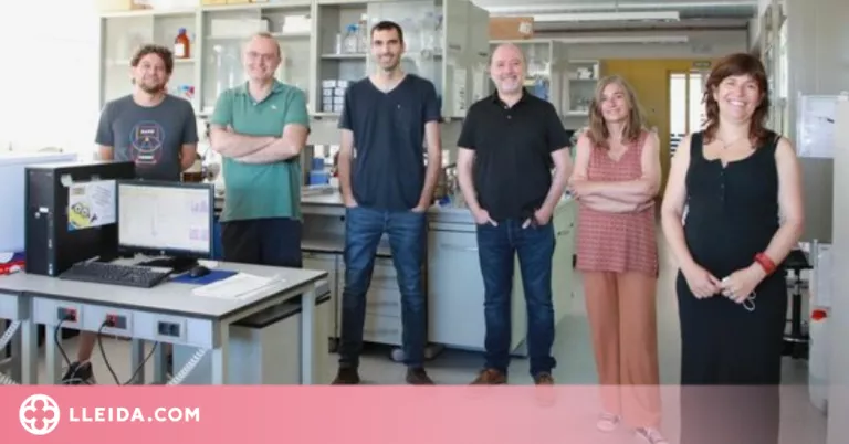 Les persones amb ELA  presenten una composició alterada dels greixos en les cèl·lules de la medul·la espinal