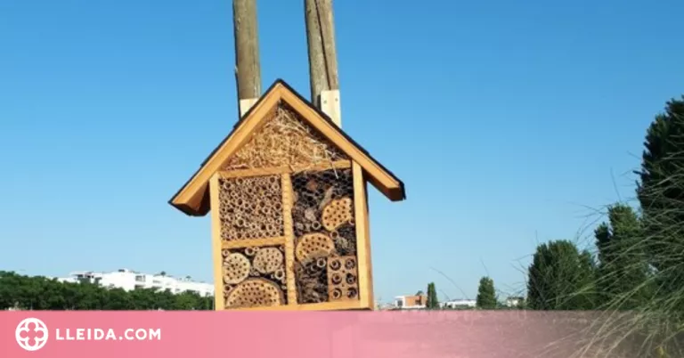 Dos 'hotels' per a insectes a l'ETSEA