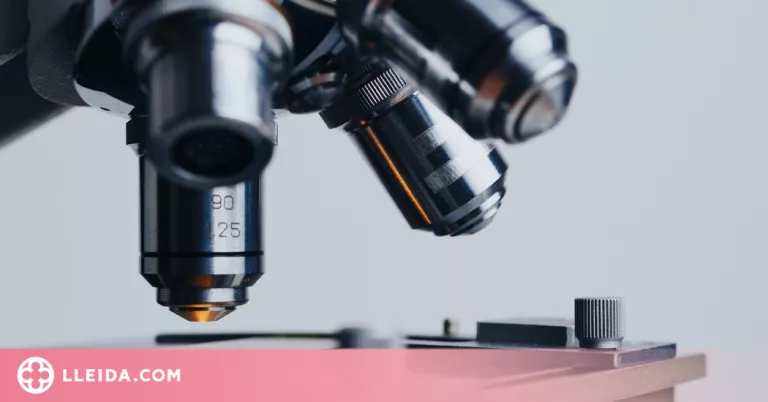 Un fragment de la toxina del tètanus podria tractar la depressió, el parkinson i l'ELA