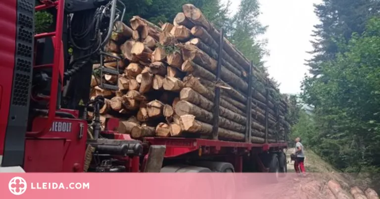La Val d'Aran aprofitarà la fusta dels boscos per alimentar calderes de biomassa