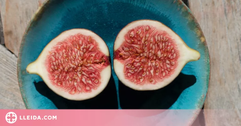 Visibilitzant el plaer: l'orgasme femení