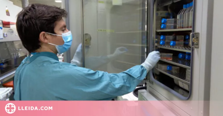 Els anticossos generats per la infecció de la covid es mantenen més enllà d'un any
