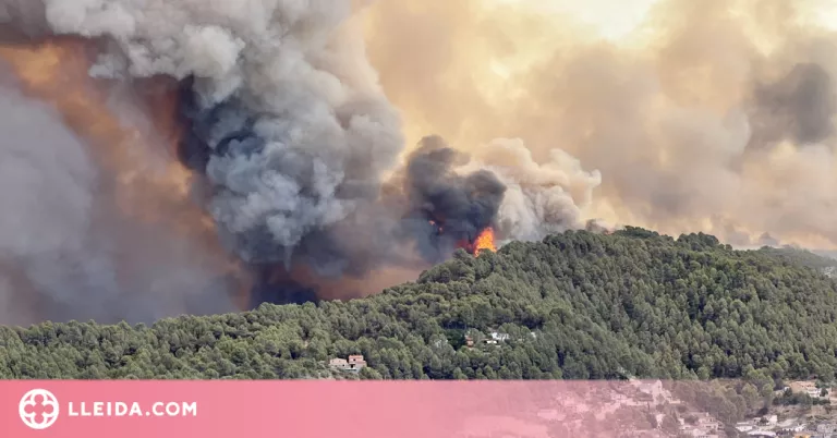 Interior activa un web sobre incendis forestals