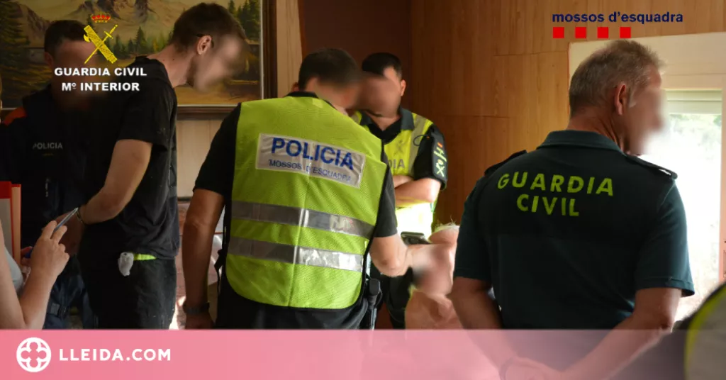 Detenen dos homes i desmantellen una plantació de marihuana a les Garrigues