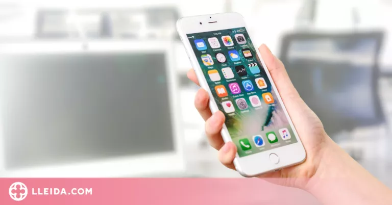 Appias Formativa, la nova plataforma que comparteix l'oferta formativa no reglada