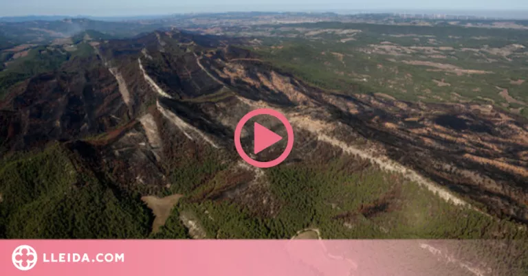 ⏯️ Catalunya registra 539 incendis amb 3.010 hectàrees cremades durant l'estiu