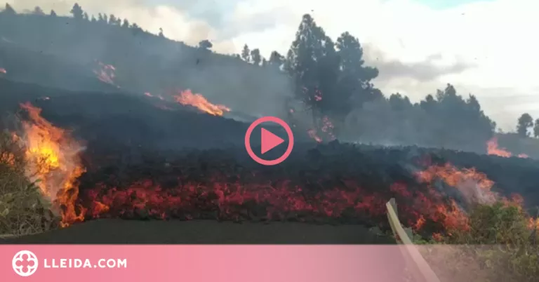 ⏯️ Evacuació massiva per l'erupció del volcà Cumbre Vieja a l'illa canària La Palma