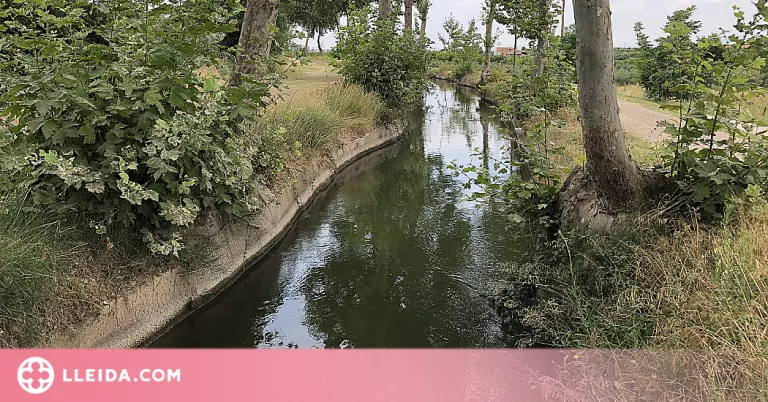 Les Borges amplia la barrera de protecció a l'entorn del Canal d'Urgell