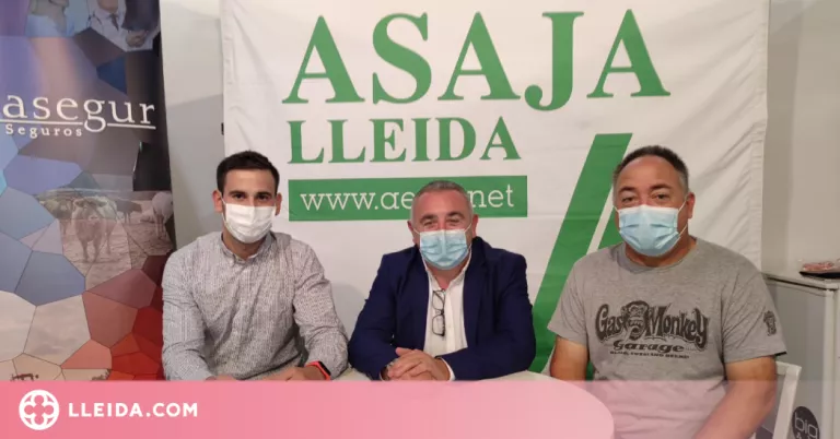 ASAJA reclama ajudes i canvis en la llei urbanística de Lleida per facilitar habitatges per als temporers en les explotacions