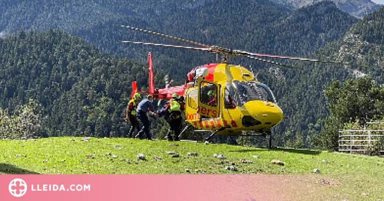 Interior fa una crida als boletaires perquè adoptin mesures de seguretat bàsiques al bosc