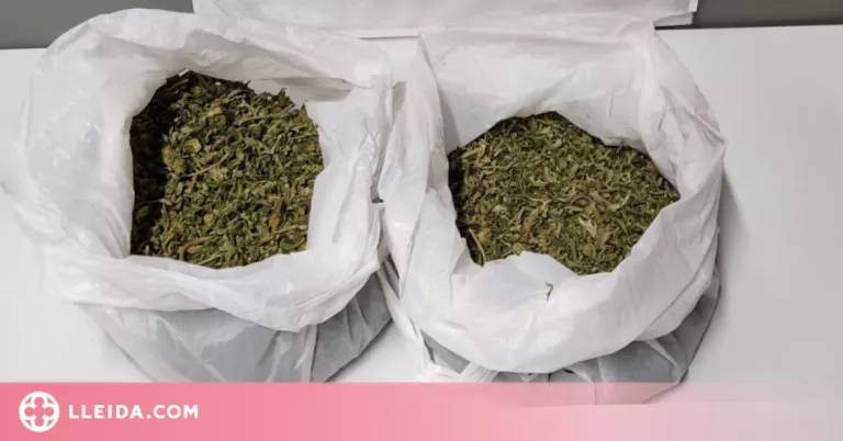 Enxampat amb més de 100 grams de marihuana al Centre Històric de Lleida
