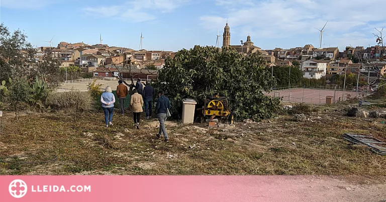Obres d'urbanització a la Granadella per crear una zona de caravàning i lleure