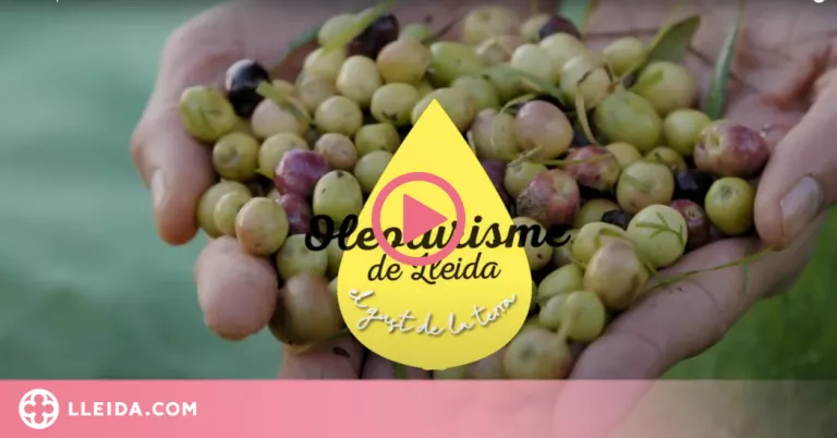 ⏯️ Experiències oleoturístiques a les 5 comarques productores d'oli de Lleida