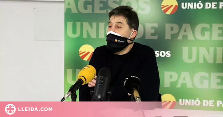 UP adverteix que els ramaders van perdre més de 30 euros per porc al desembre