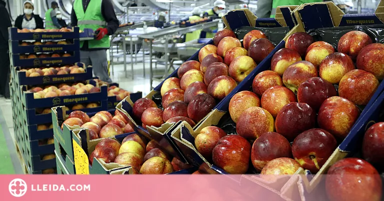 Les exportacions creixen un 31,5% a Ponent i l'Alt Pirineu i Aran al novembre