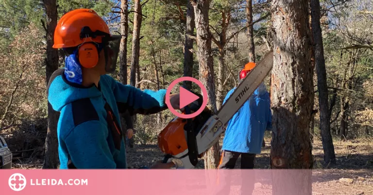 ⏯️ Campanya de conscienciació als Pirineus sobre la importància de la gestió forestal