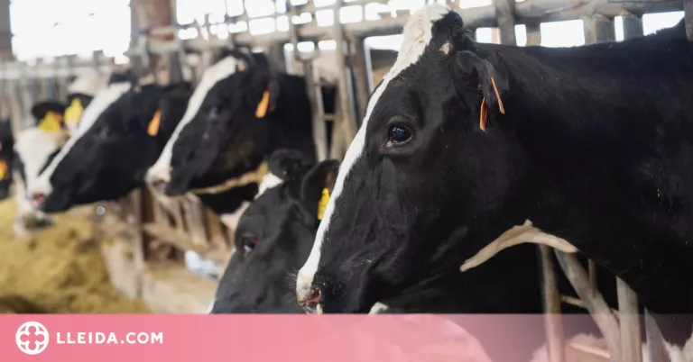 JARC demana un pla de xoc per al sector agrari català davant el conflicte bèl·lic a Ucraïna