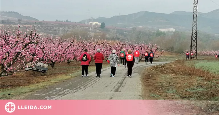 Commemoració del dia de la dona amb una 'Caminada entre flors' a Massalcoreig