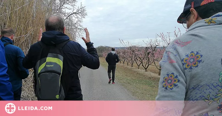 Massalcoreig organitza una ruta per la casa i les finques on es va rodar la pel·lícula 'Alcarràs'
