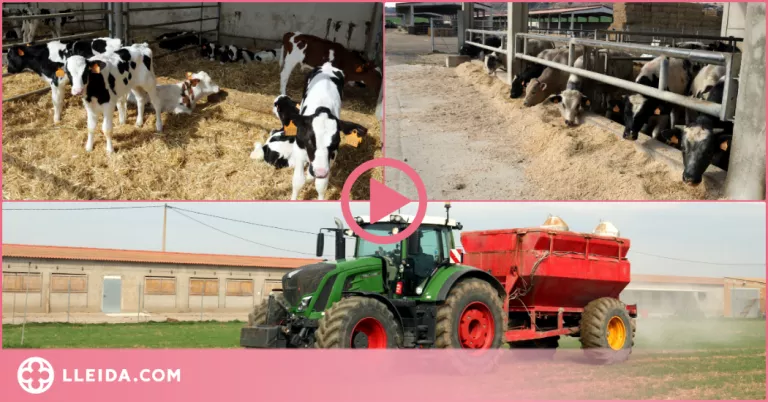 ⏯️ La guerra d'Ucraïna dispara els preus de producció al sector agrari